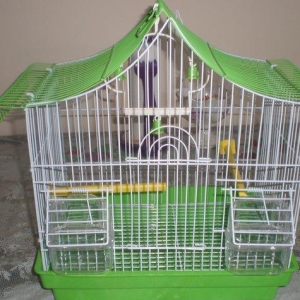 Salam! Tutuqusu qefesleri satilir her rengi var. Hamisi yenidi birgun