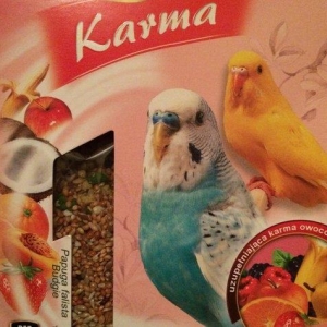 Popuqay ucun vitaminli yem- yenidir! 500 qr qabda + 400qr adi yem. Cem