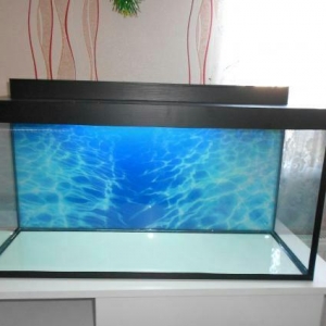 100litrelik akvarium qapaqli arxa fon wekili hediyye