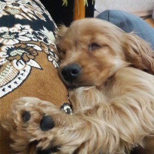 Tam oxuyun melumat tam alin
temiz fransiz iti bala gold koker