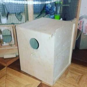 Yandan acılma korella yuvası satılır tezedi işlenmeyib real alıcıya em