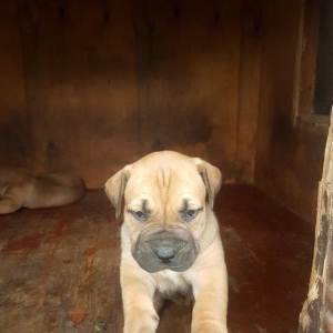 1 balasi var ay yarimliqdi ayliqdi 1 disi 300 mana