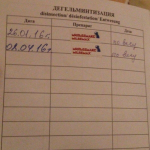 Tecili! Pameranski Spis butun senedleri ile esyalari ile birge 800 man