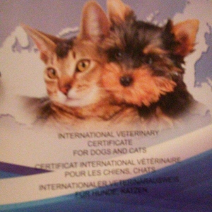 Tecili! Pameranski Spis butun senedleri ile esyalari ile birge 800 man