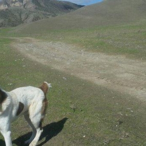 salam it satlir qurd basardi 18 ayliqdi körpeliyinden ozumde olub Zaka