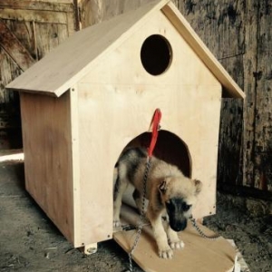 Her nom it pi**** evlerinin duzeldilmesi ve zakasi qiymetder munasibdi