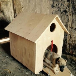 Her nom it pi**** evlerinin duzeldilmesi ve zakasi qiymetder munasibdi