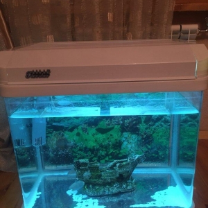 Zavod Istehsali 100 litre yaxin akvarium satilir ideal veziyyetdedi ic