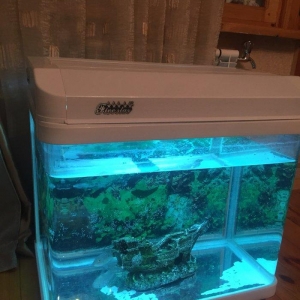 Zavod Istehsali 100 litre yaxin akvarium satilir ideal veziyyetdedi ic