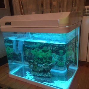 Zavod Istehsali 100 litre yaxin akvarium satilir ideal veziyyetdedi ic