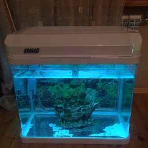 Zavod Istehsali 100 litre yaxin akvarium satilir ideal veziyyetdedi ic