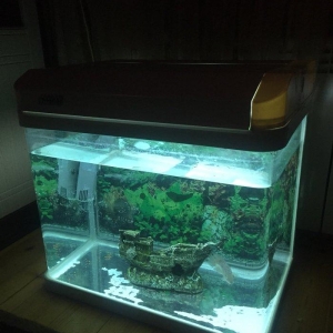 Zavod Istehsali 100 litre yaxin akvarium satilir ideal veziyyetdedi ic