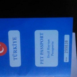 Türkiyədən gəlib passportu var 09. 06. 2017 doğulub. Dermanları, yemi