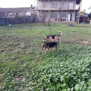 Salam tecili satilir xarice gedirem ona gore bala vaxtindan ozumde olu