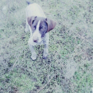 Salam tula satiram sortu kuçkar dişidi 3 ayliqdi