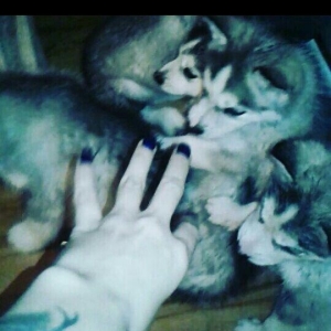 1-ay 25-gunluk balalar tam saglam gozleri bir gozu