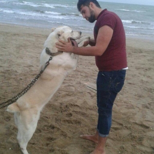 Temiz turkmen alabayidi 9_ayligdi iwimnen elageder gedirem diye satira