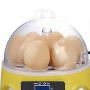 Inkubator aparati 1 2 defe istifade olunub cemi    40 manat.  7 yumurt