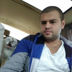 продается 9 месячная кошка,глаза хамелон,к лотку приучена,
9 aylig diw