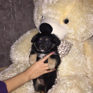 .erkeyi wpic diwisi pikinesdi . ciddi alicilar narahat etsin . elaqe 0