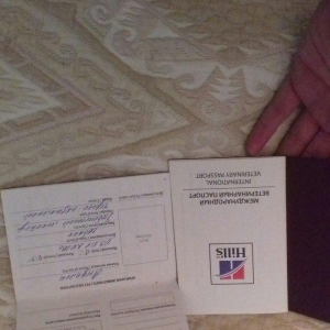 tibet massivi.1-cutdu. erkek ve diwi.1yas 3ayliqdilar. 3yawinda 100 kl