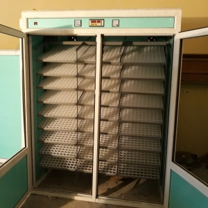 Inkubator (DK800)