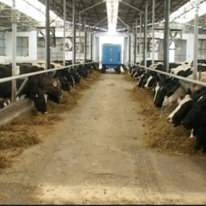 Fermaya Isci teleb olunur