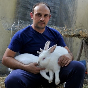 DOVŞAN ƏTİ (DADLI və XEYİRLİ) və diri dovşanların satışı