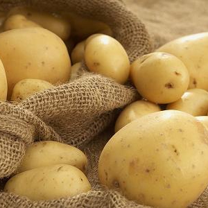Kartofu düzgün saxlamağın on iki şərti